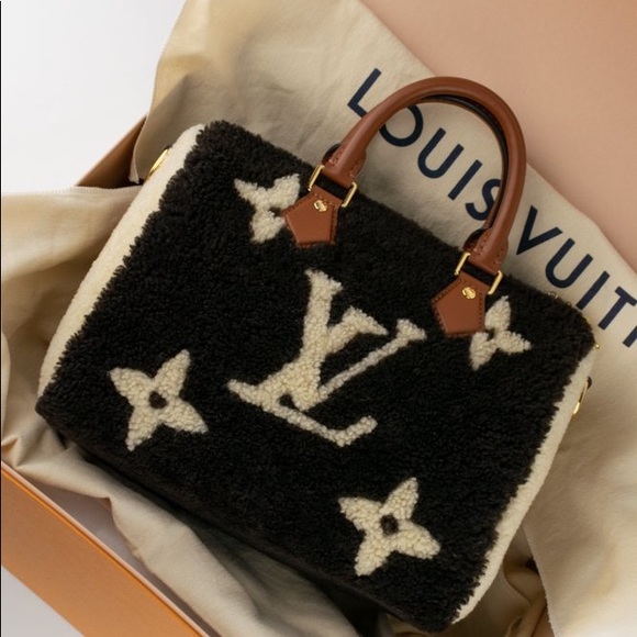 Louis Vuitton Shearling Teddy Speedy 25 - Picture 12 of 13
